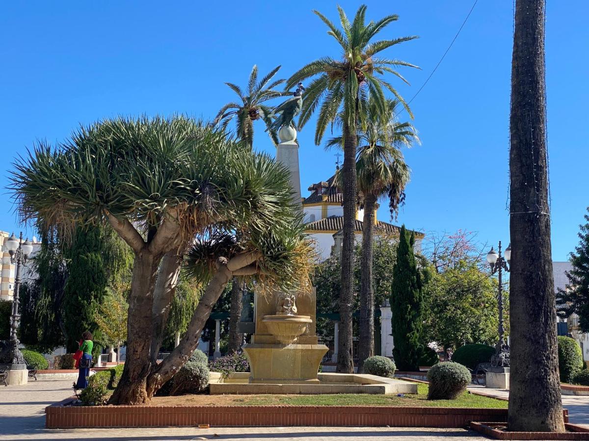 La Terraza De Porvenir 10 - Jerez De La Frontera Lägenhet Exteriör bild